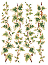 Load image into Gallery viewer, Collage de Fleurs IOD Transfers 12X16 Pad