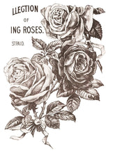 Load image into Gallery viewer, May's Roses IOD Transfers 12X16 Pad
