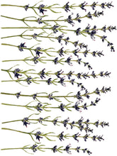 Load image into Gallery viewer, Painterly Florals IOD Transfers 12X16 Pad