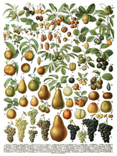 Load image into Gallery viewer, Millots Page IOD Transfer 12" X 16" Pad