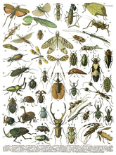 Load image into Gallery viewer, Millots Page IOD Transfer 12" X 16" Pad