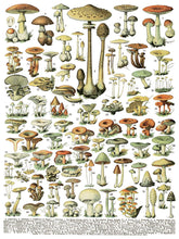 Load image into Gallery viewer, Millots Page IOD Transfer 12" X 16" Pad