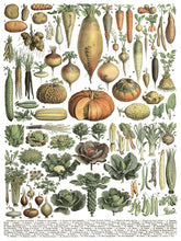 Load image into Gallery viewer, Millots Page IOD Transfer 12" X 16" Pad