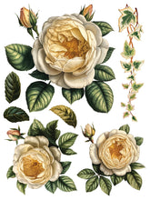 Load image into Gallery viewer, Collage de Fleurs IOD Transfers 12X16 Pad

