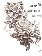 Load image into Gallery viewer, May&#39;s Roses IOD Transfers 12X16 Pad
