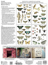 Load image into Gallery viewer, Entomology Etcetera IOD Transfers 12X16 Pad
