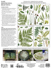 Load image into Gallery viewer, Fronds Botanical IOD Transfers 12X16 Pad
