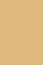 Load image into Gallery viewer, Harvest Alchemy Paint
