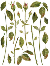Load image into Gallery viewer, Painterly Florals IOD Transfers 12X16 Pad
