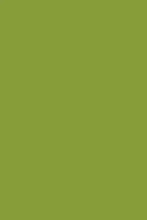 Load image into Gallery viewer, Moss Alchemy Paint
