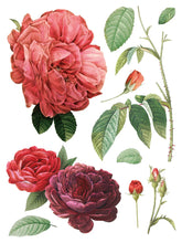 Load image into Gallery viewer, Redouté 11 IOD Transfers 12X16 Pad
