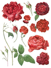Load image into Gallery viewer, Redouté 11 IOD Transfers 12X16 Pad
