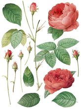 Load image into Gallery viewer, Redouté 11 IOD Transfers 12X16 Pad
