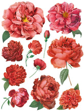 Load image into Gallery viewer, Redouté 11 IOD Transfers 12X16 Pad
