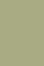 Load image into Gallery viewer, Rosemary Alchemy Paint
