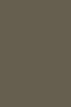 Load image into Gallery viewer, Sage Alchemy Paint
