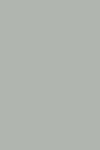 Load image into Gallery viewer, Spruce Alchemy Paint
