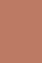 Load image into Gallery viewer, Terracotta Alchemy Paint
