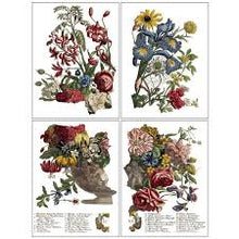 Load image into Gallery viewer, June IOD Transfers 12X16 Pad
