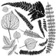 Load image into Gallery viewer, Fronds IOD Decor Stamp
