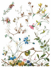 Load image into Gallery viewer, Lost Garden IOD Transfer 12&quot; X 16&quot; Pad
