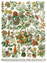 Load image into Gallery viewer, Millots Page IOD Transfer 12&quot; X 16&quot; Pad
