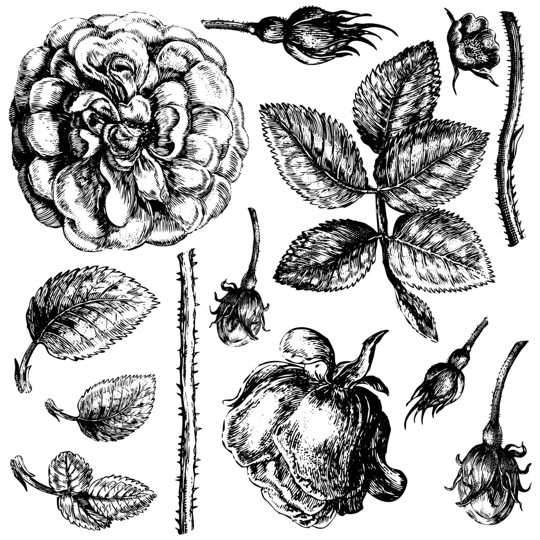 Lady of Shalott IOD Decor Stamp