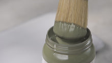 Load and play video in Gallery viewer, Rosemary Alchemy Paint
