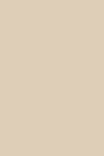 Load image into Gallery viewer, Sandstone Alchemy Paint

