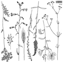 Load image into Gallery viewer, Sprigs IOD Decor Stamp
