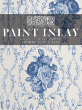 Load image into Gallery viewer, Trompe L&#39;oeil Bleu IOD Paint Inlay

